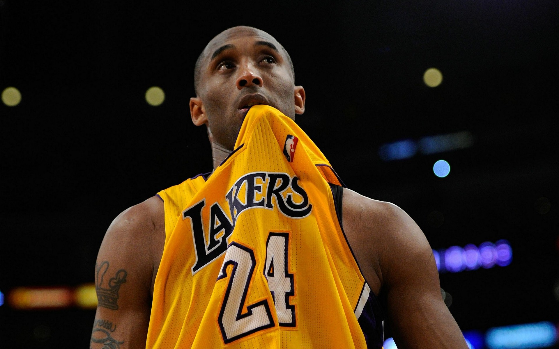 架与捕手配 架与捕手配